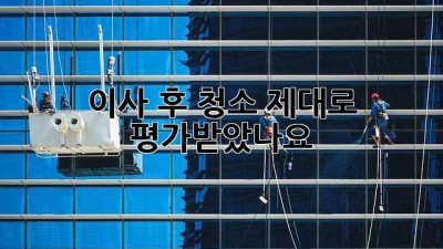 이사 후 청소, 제대로 평가받았나요?